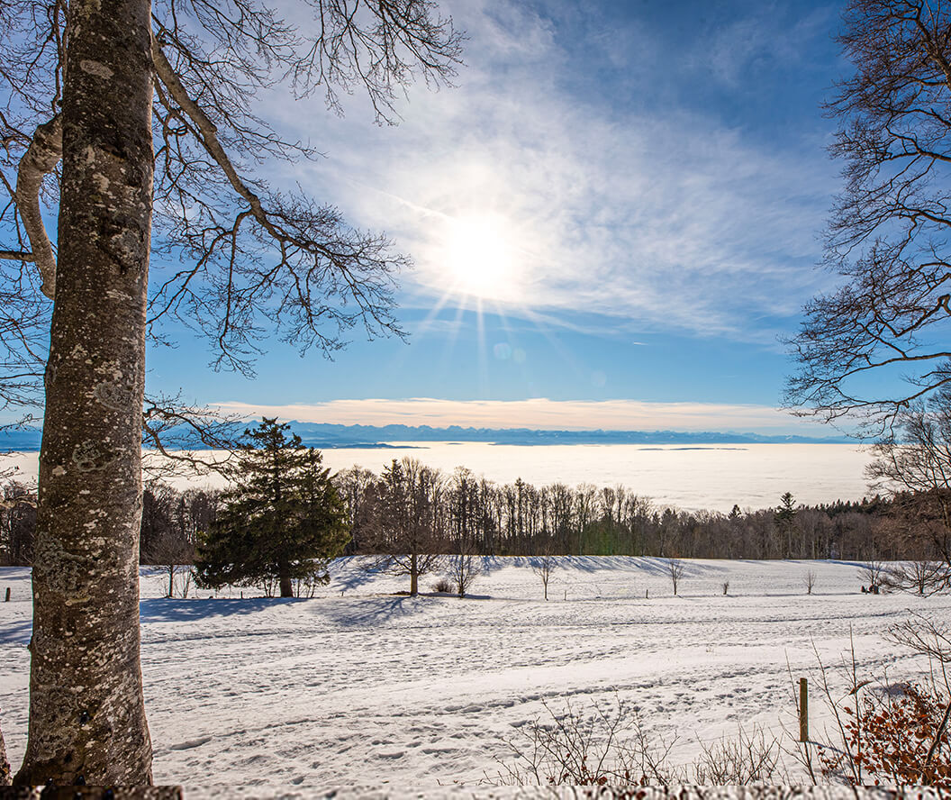 grenchenberg.jpg grenchenberg